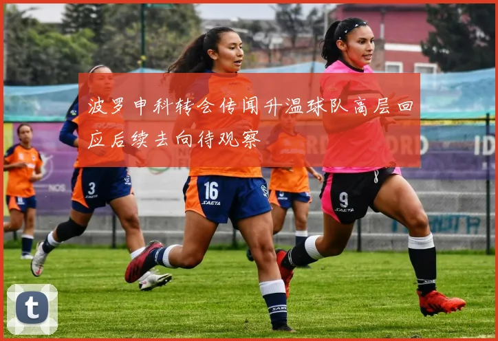 波罗申科转会传闻升温球队高层回应后续去向待观察